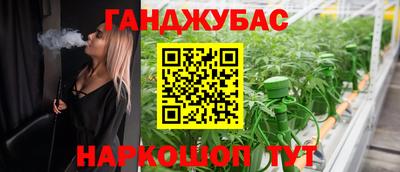крисы Краснодар