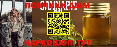 крисы Краснодар