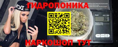 гидропоника Краснознаменск