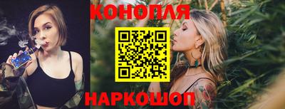 крисы Краснодар
