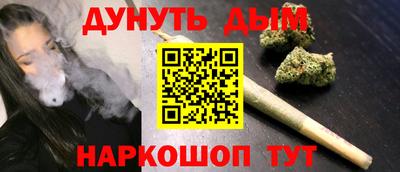крисы Краснодар