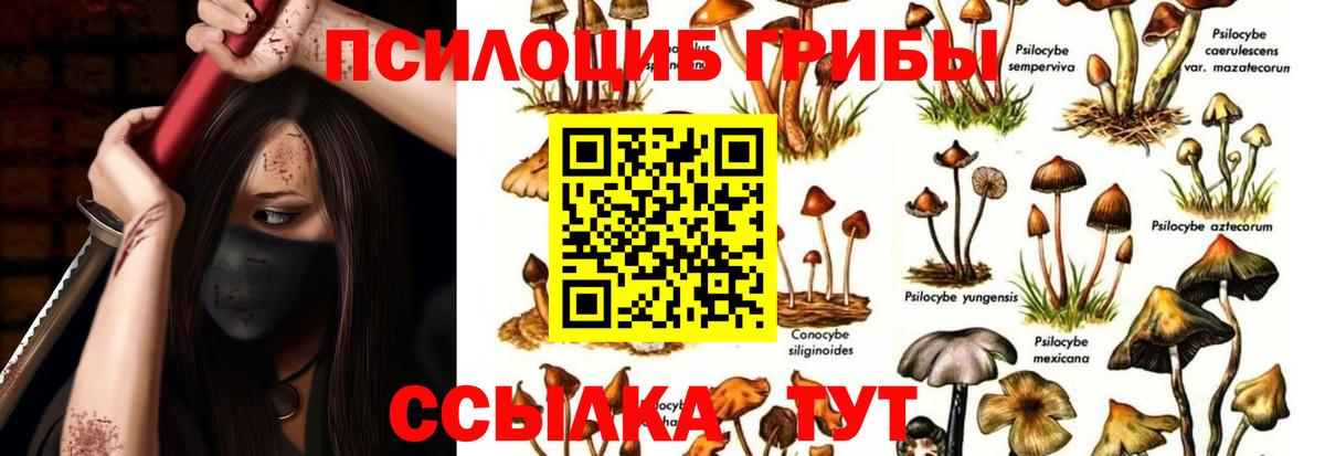 Галлюциногенные грибы мицелий  Галлюциногенные грибы Magic Shrooms  Вход с VPN  Ликино-Дулёво 